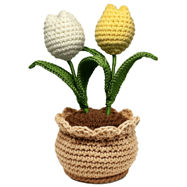 Tulip Pot